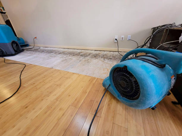 Professional Water Removal technician working in South Charleston, OH